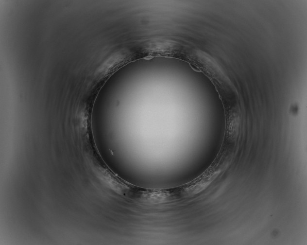 X0000100860282200806201224