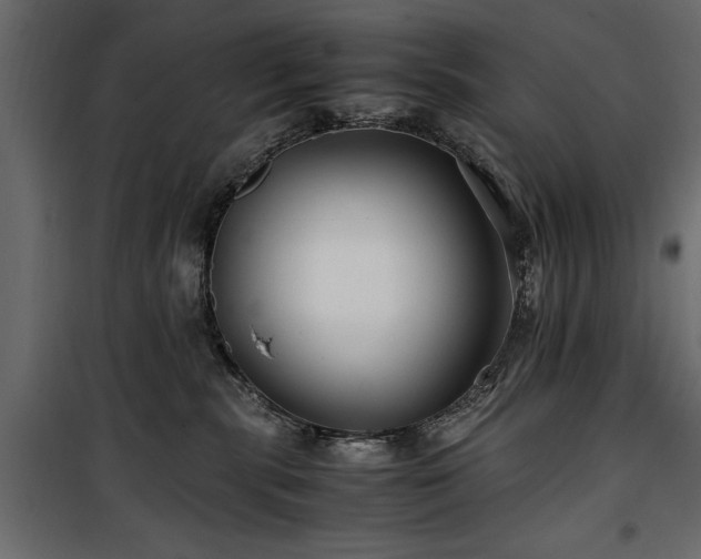 X0000100860283200806201224