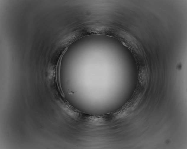 X0000100860284200806201224