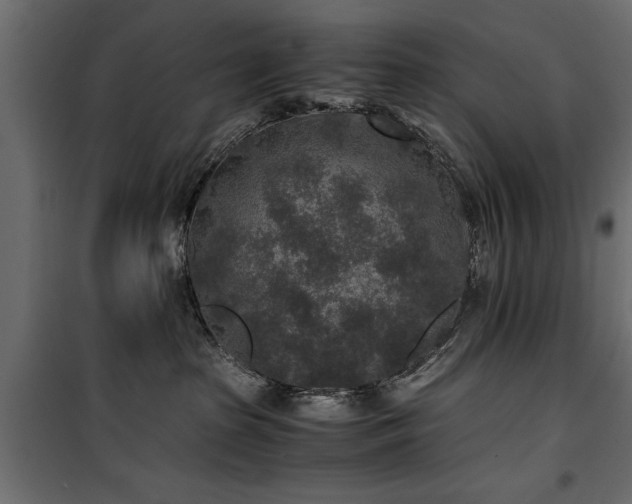 X0000100860285200806201224