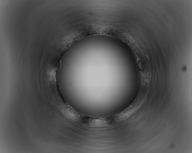 X0000100860286200806201224