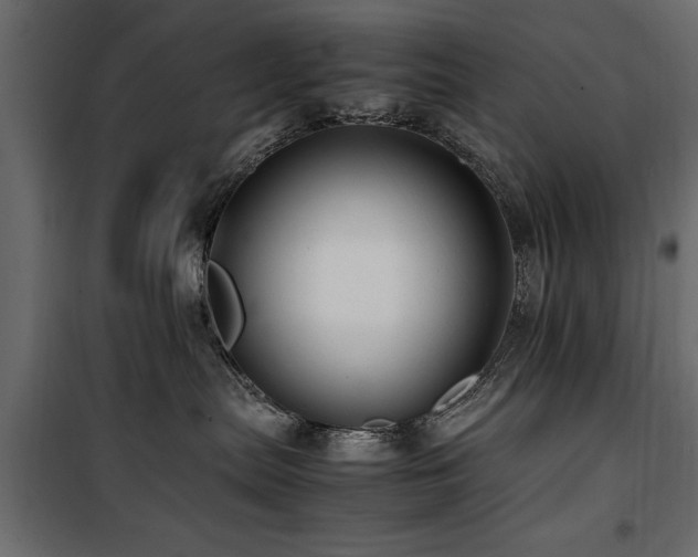 X0000100860287200806201224