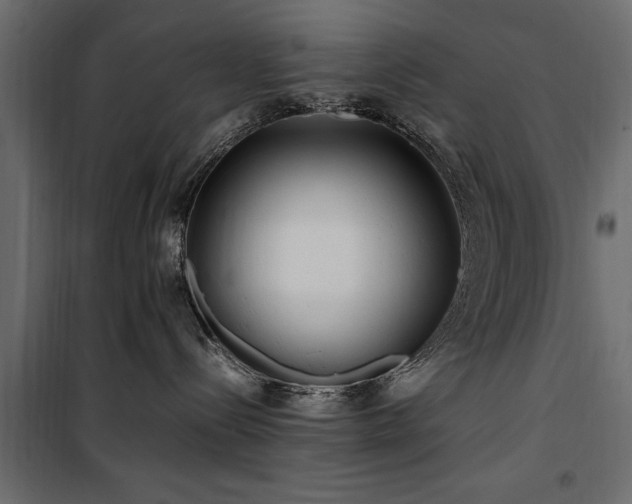 X0000100860288200806201224