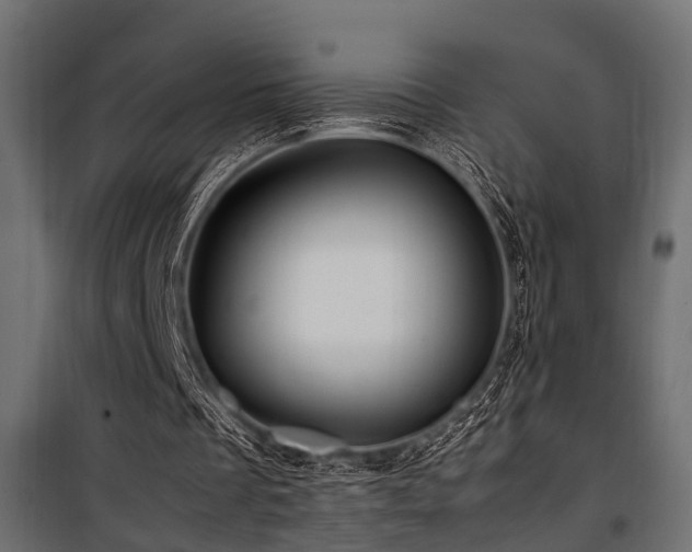 X0000100860289200806201223