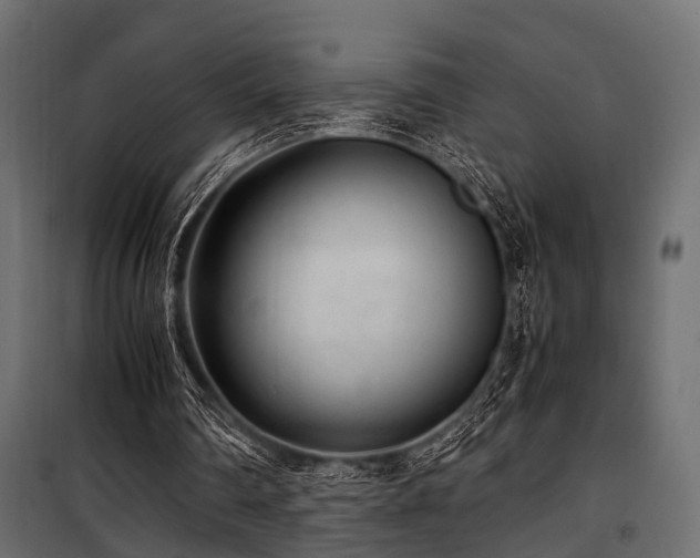 X0000100860290200806201223