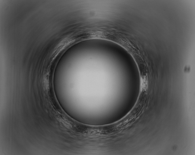 X0000100860291200806201223