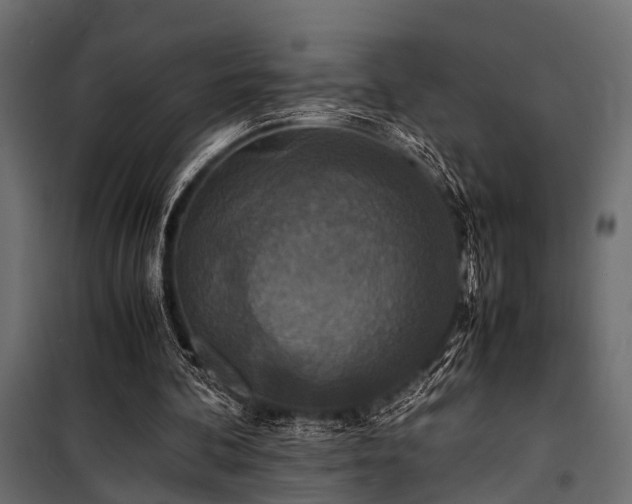 X0000100860292200806201223