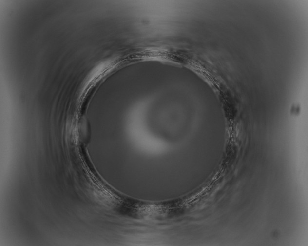 X0000100860293200806201223