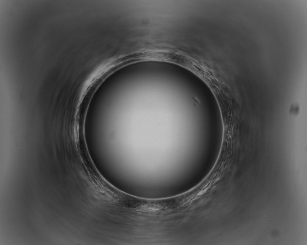 X0000100860294200806201223