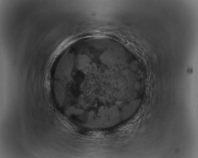 X0000100860295200806201223