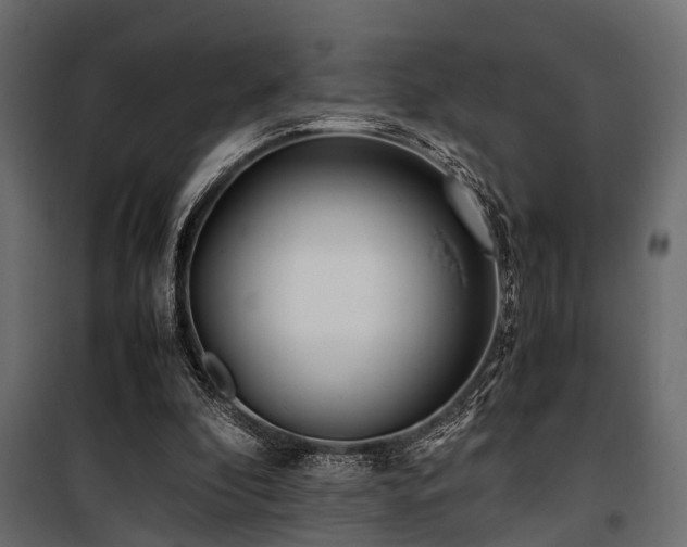 X0000100860296200806201223