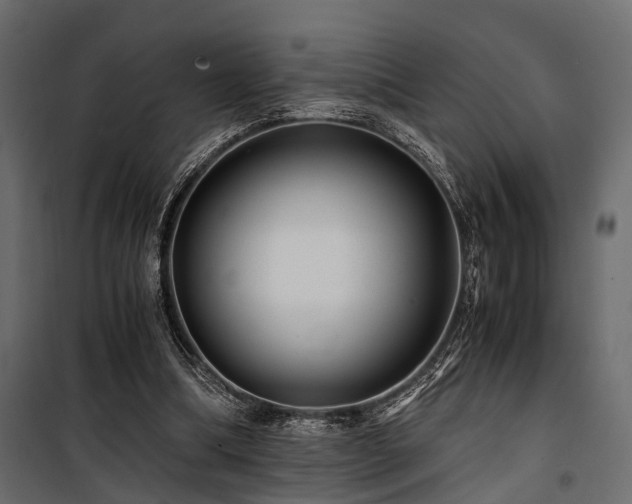 X0000100860298200806201223