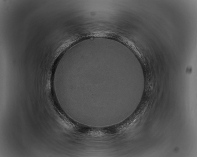 X0000100860299200806201223