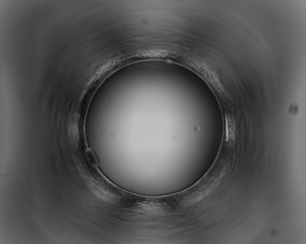 X0000100860300200806201223