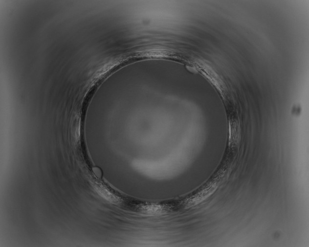 X0000100860301200806201223