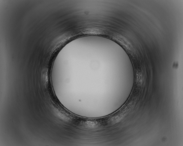 X0000100860302200806201223