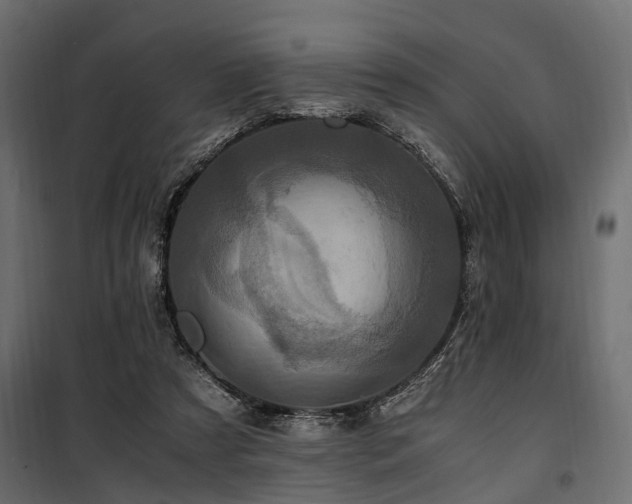 X0000100860305200806201223