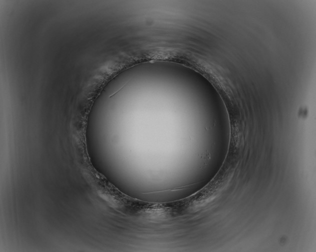 X0000100860307200806201223