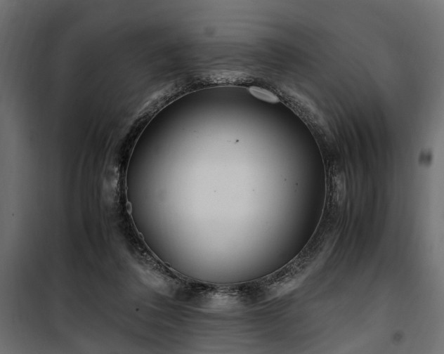 X0000100860308200806201223