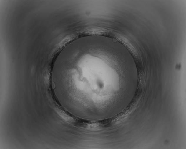 X0000100860309200806201223