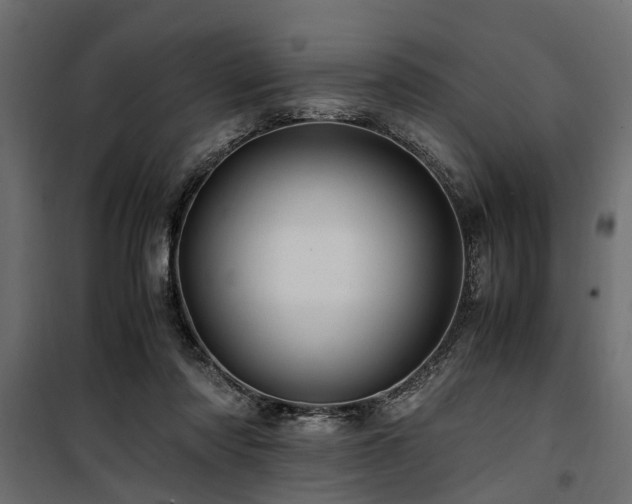 X0000100860310200806201223