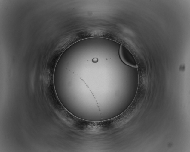 X0000100860311200806201223