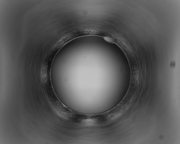 X0000100860312200806201223