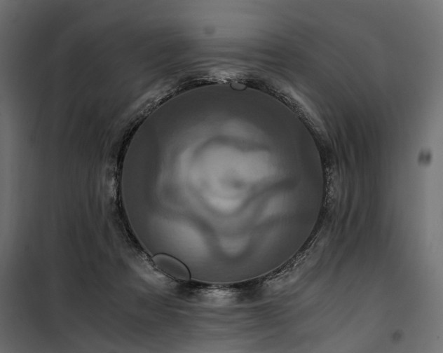 X0000100860313200806201223