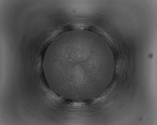 X0000100860314200806201223