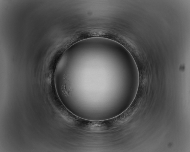 X0000100860315200806201223