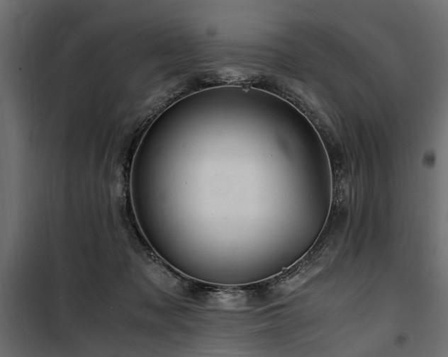 X0000100860317200806201223