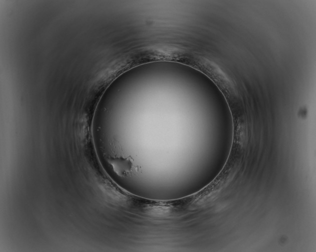 X0000100860318200806201223