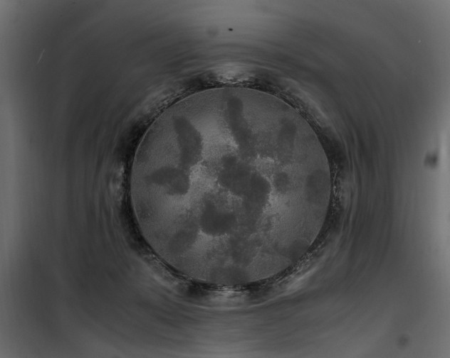 X0000100860319200806201223