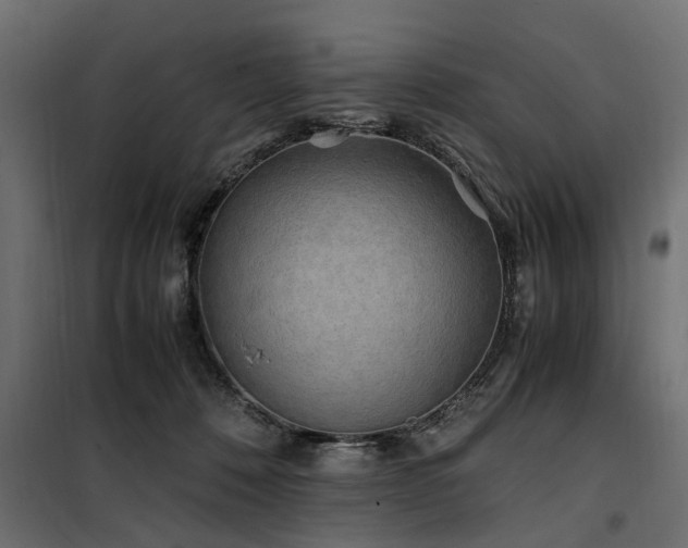 X0000100860320200806201223