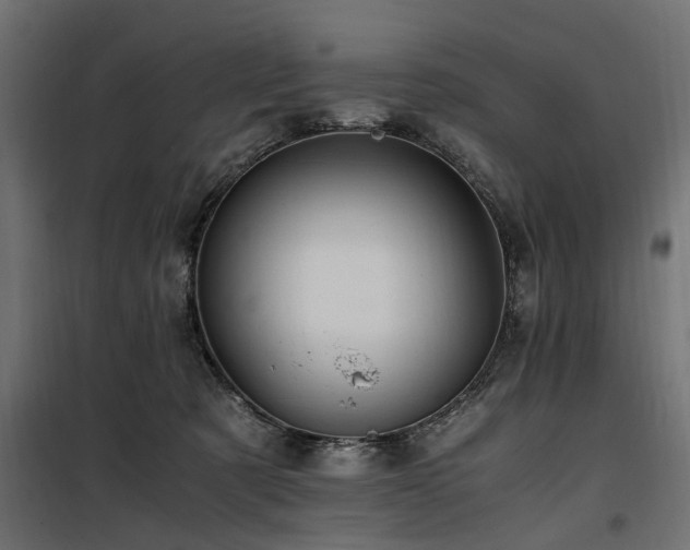 X0000100860321200806201223