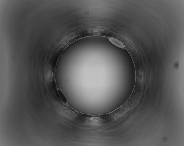 X0000100860324200806201223