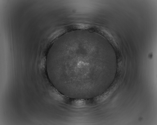 X0000100860325200806201223