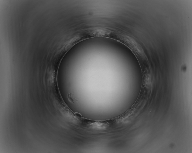 X0000100860326200806201223