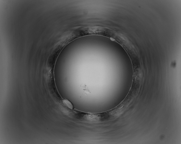 X0000100860327200806201223