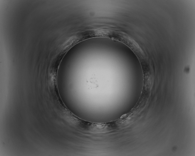 X0000100860329200806201223