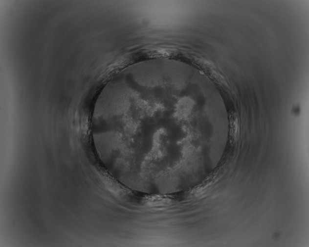 X0000100860331200806201223