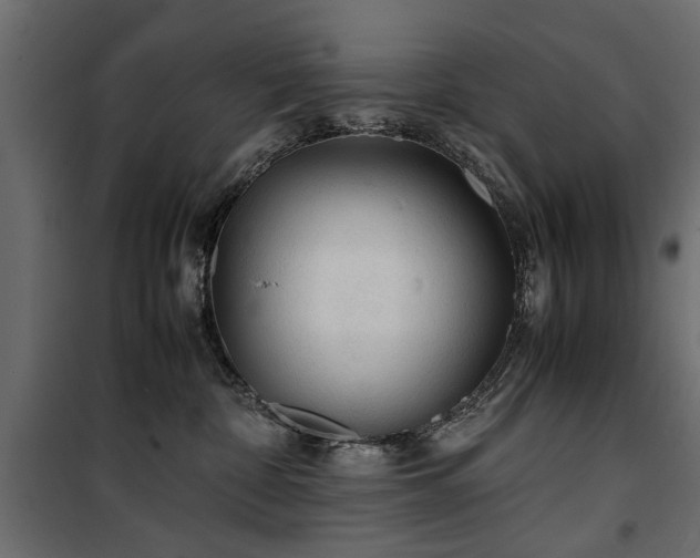 X0000100860332200806201223