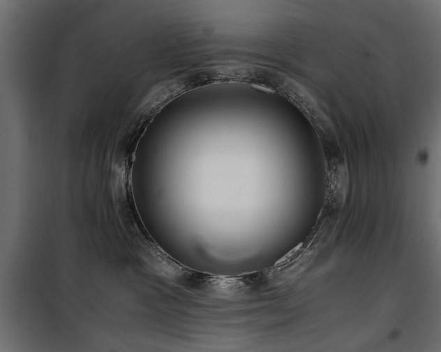 X0000100860333200806201223