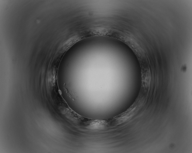 X0000100860334200806201223