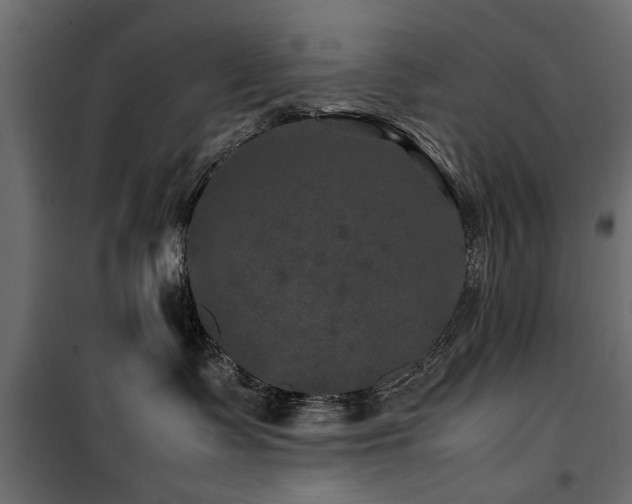 X0000100860335200806201223