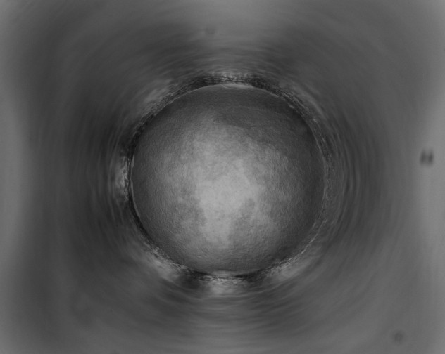 X0000100860336200806201223