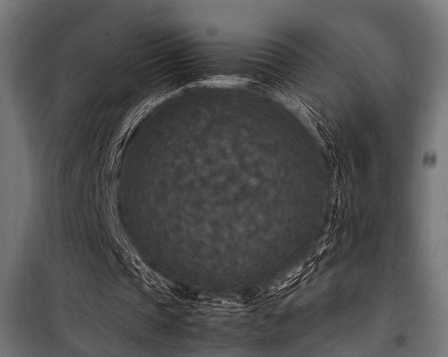 X0000100860337200806201222