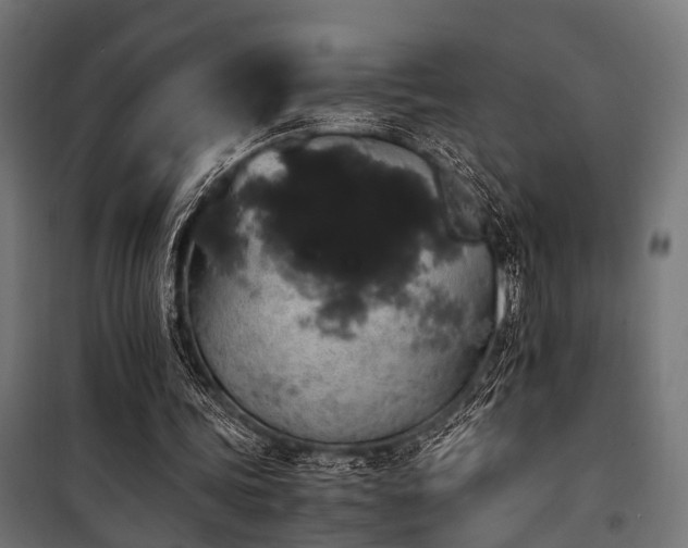 X0000100860339200806201222