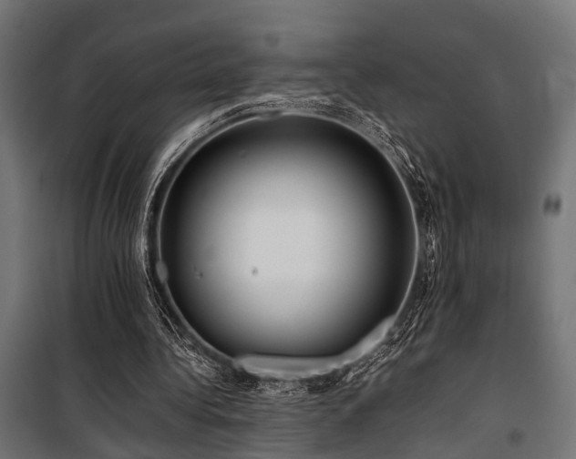 X0000100860340200806201222