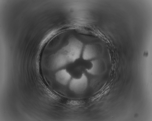 X0000100860341200806201222